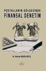 Finansal Denetim
